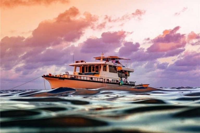Read more about the article Adventures | Maldives Charter