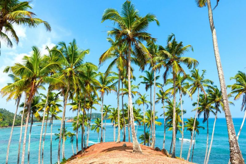 Sri Lanka – Travel in Dec or February